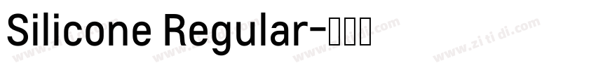 Silicone Regular字体转换
